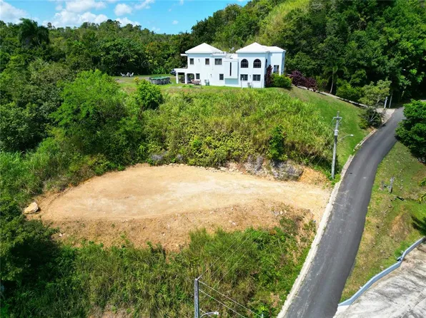 Carr 142 Km 4.9 Rio Lajas 2, Toa Alta, PR 00953