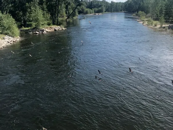 93 Nhn Hwy, Hamilton, MT 59840