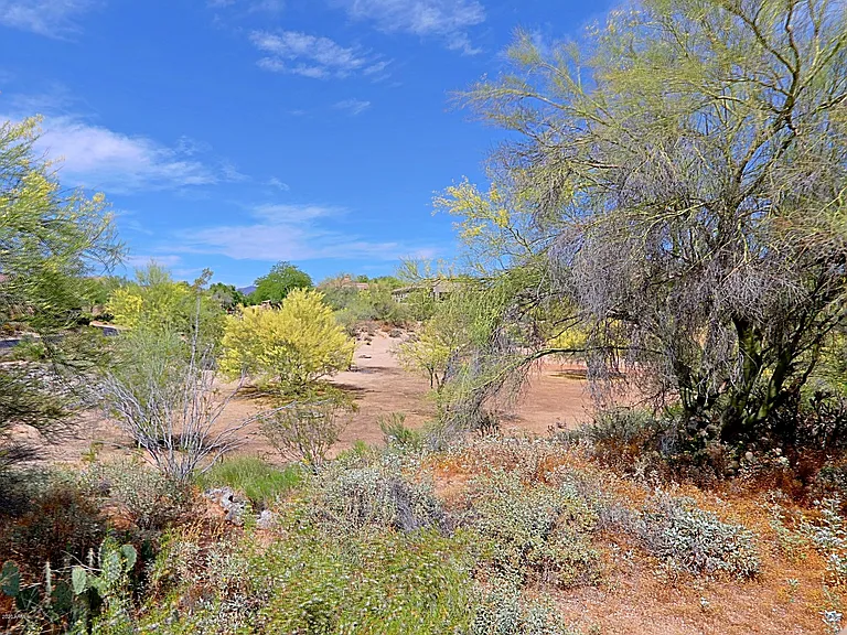 7122 E Aloe Vera Dr — Photo 33