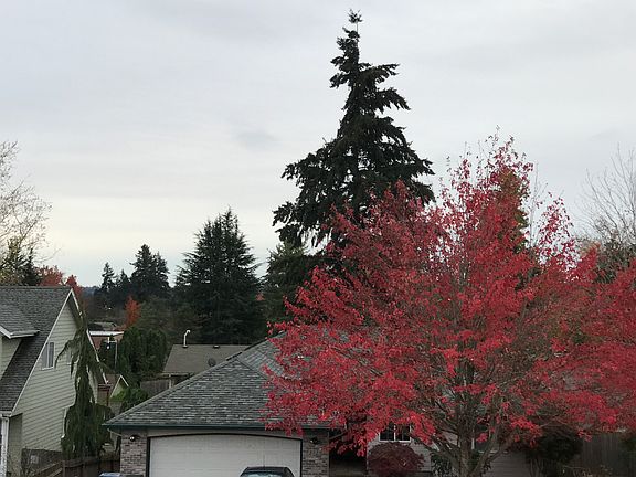 Front deck view 