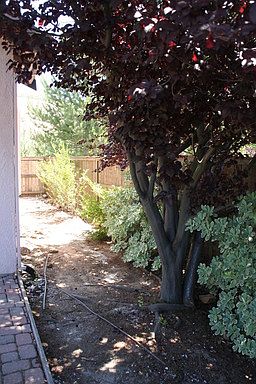 3rd image of 3505 Cabrito Dr