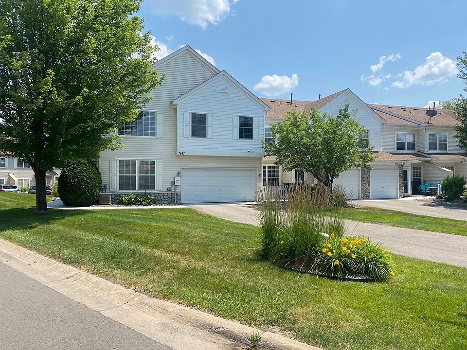 1st image of 7697 Coneflower Curv S