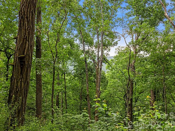 3rd image of 99999 Little Pisgah Rd