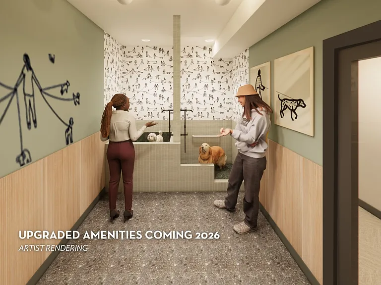 Brand New Pet Spa Coming Soon