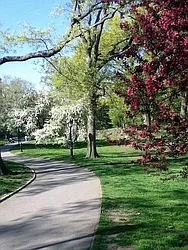 Rented by Keller Williams NYC