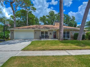 12103 Snead Pl, Tampa, FL 33624