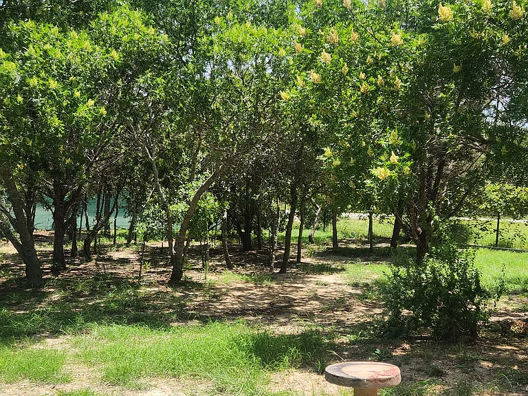 Willow Springs Drive Pipe Creek Tx — Photo 5