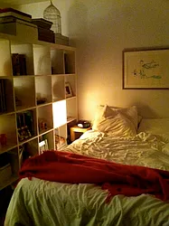 Rented by Eric Goodman Realty Corp