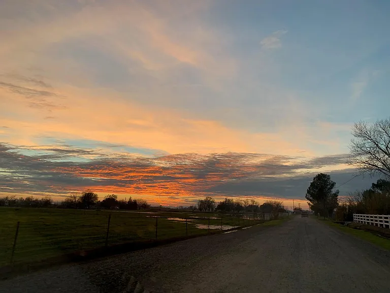 Prairie Way — Photo 23