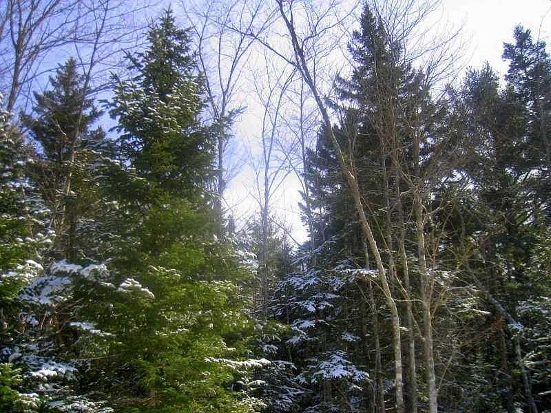2nd image of 0 Knox Road