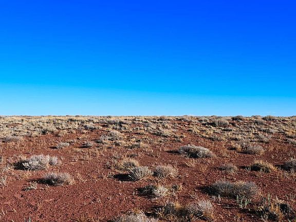 5th image of 406 Prairie Dog Tank Road #-