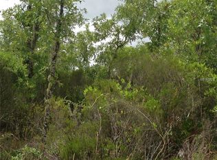 NE 65th Ln, Bronson, FL 32621