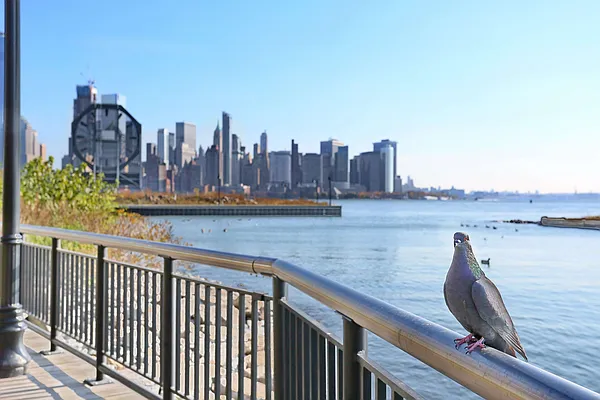 Sold by Weichert/Exchange Place | media 17