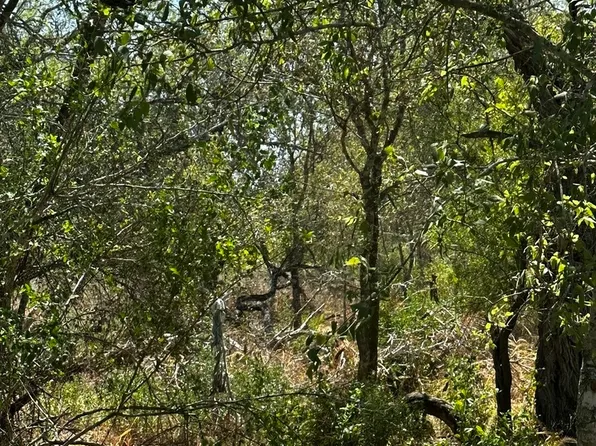 5958 Cr 405 LOT 8, Floresville, TX 78114