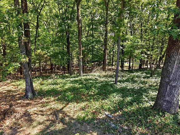 4th image of 835 Sugar Maple Dr