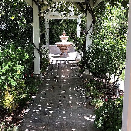 30 ft Grape covered arbor