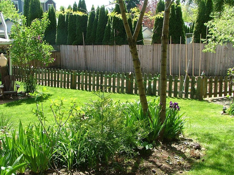 BackYard & Garden area
