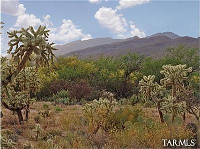 2nd image of 4827 N Placita Pajarillo