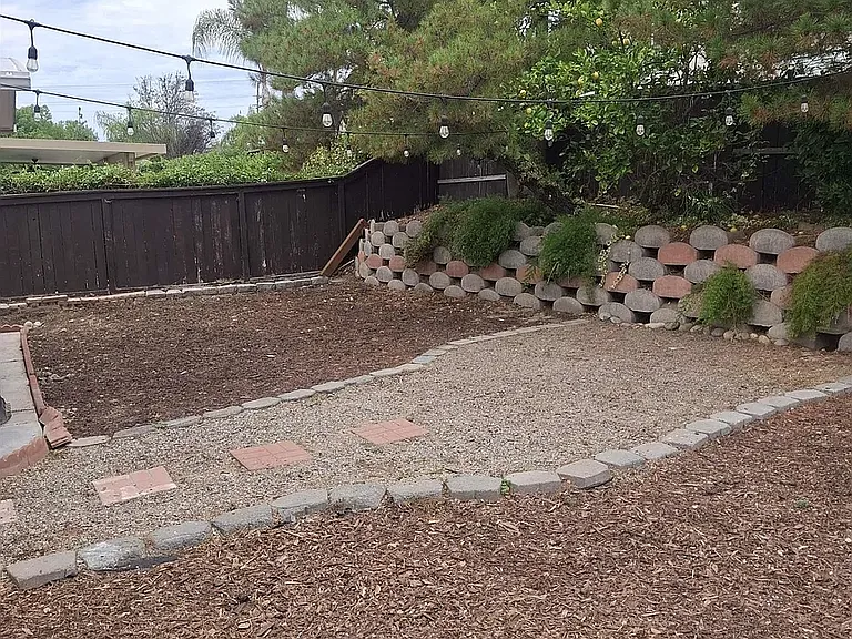 Backyard # 2