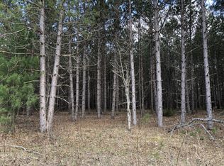 NULLC Airport Rd, Wellston, MI 49689