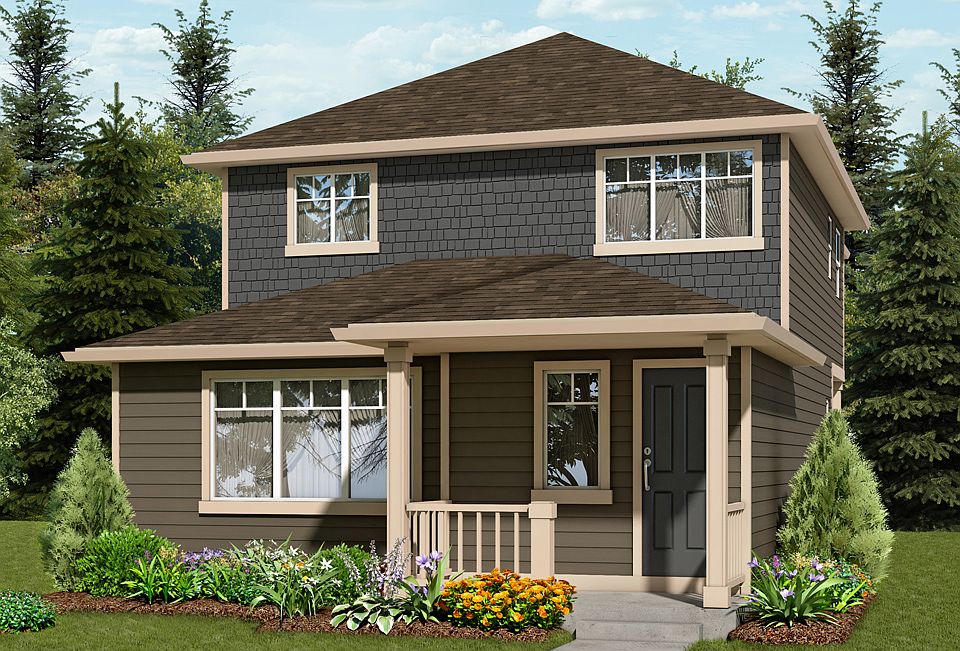 Elevation Image 1.