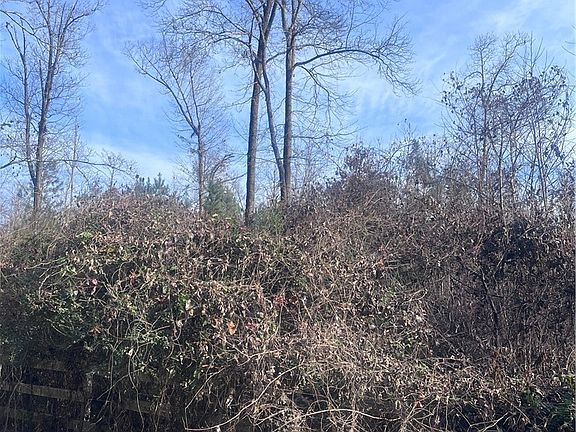 5th image of 000B Riverbend Rd Lot 66