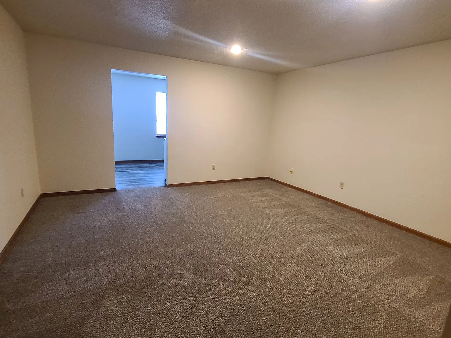 1 bed, 800 sqft, $795 — Photo 3