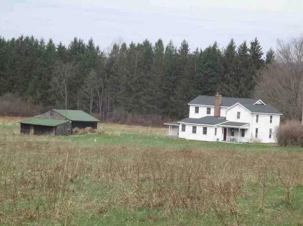 1687 Wahlgren Rd, Frewsburg, NY 14738
