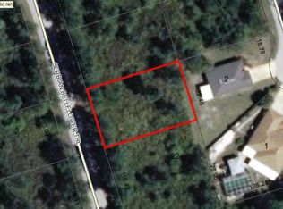 29 Serbian Bellflower Trl, Palm Coast, FL 32164