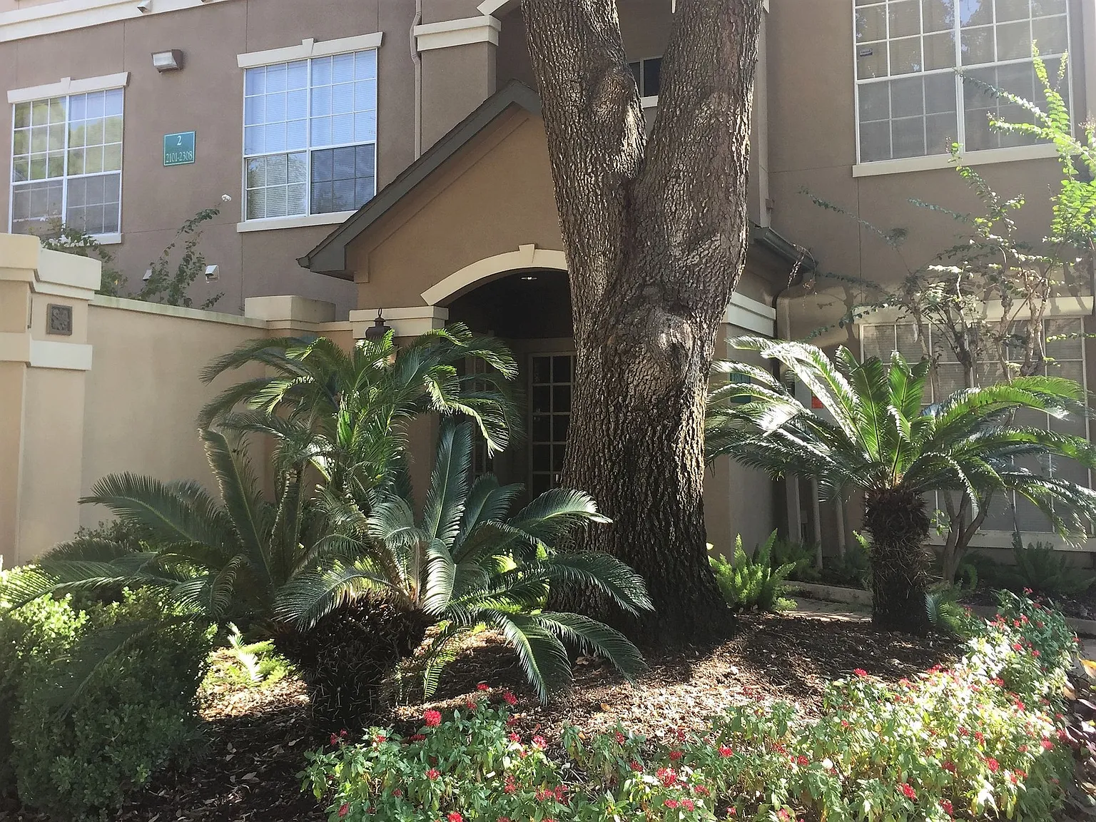 The Boulevard — Photo 2