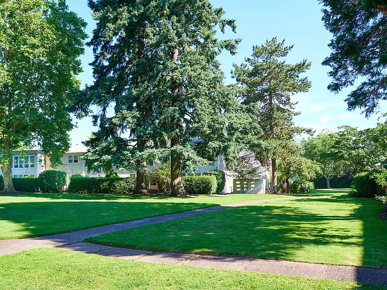 Ample Green Spaces
