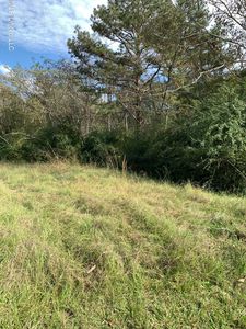 LOT 22 Sweetgum St, Pearl, MS, 39208