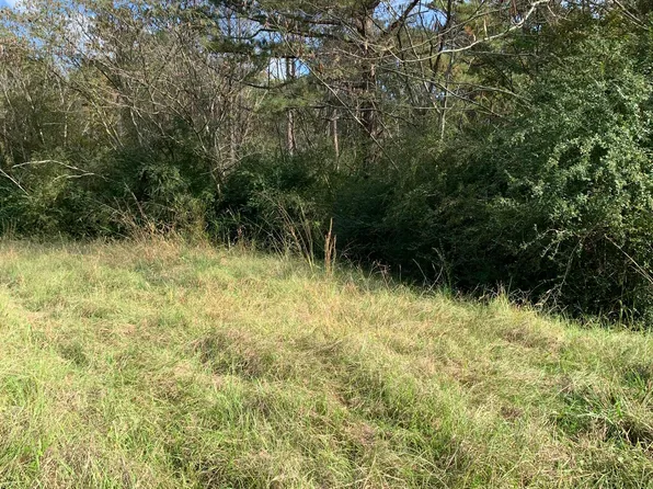 LOT 22 Sweetgum St Lot 22, Pearl, MS 39208