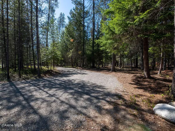 S Ryan Rd, Priest River, ID 83856