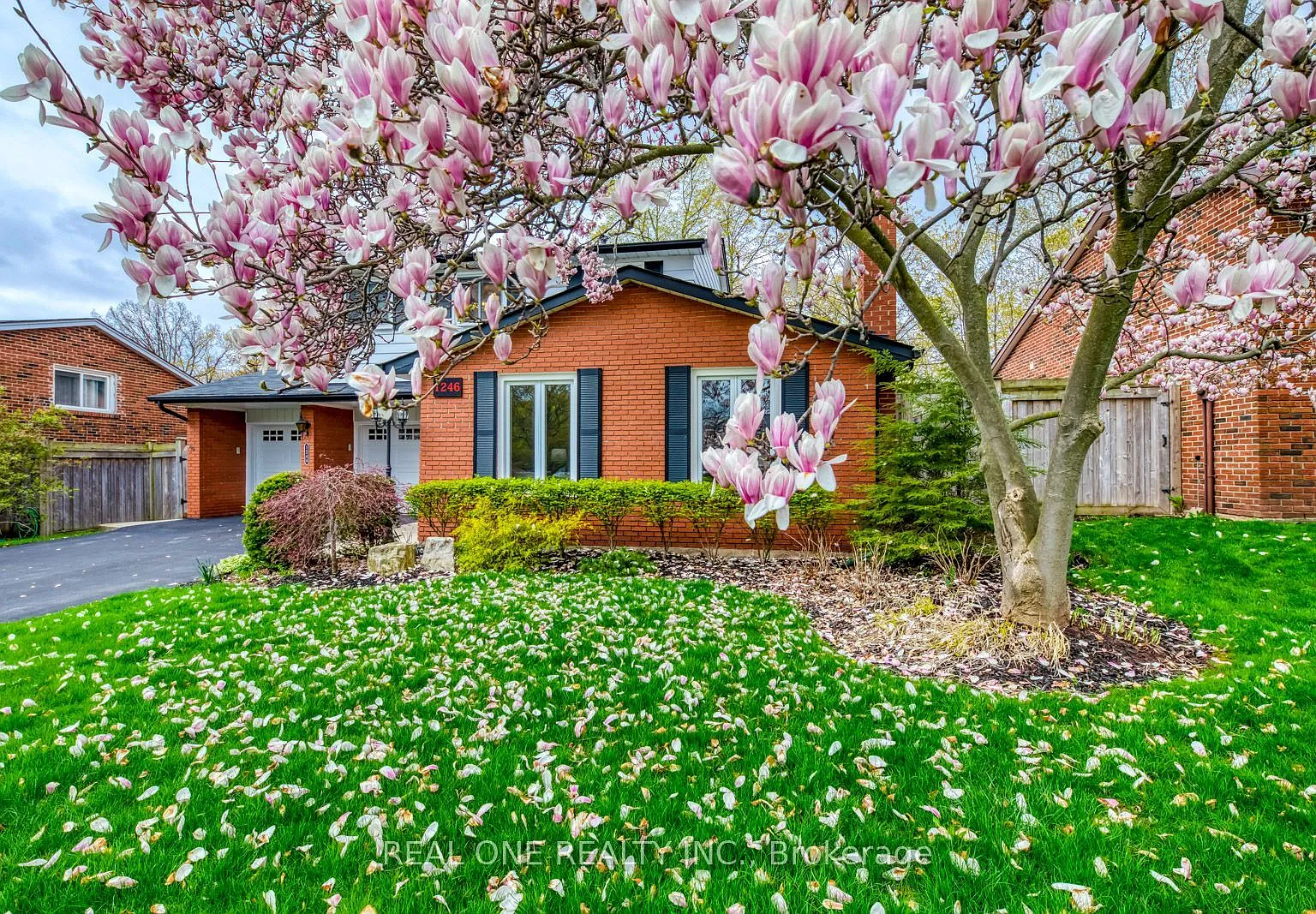 3 bed, $4,300 — Photo 3