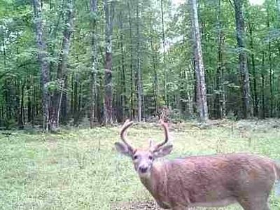 Lot 4 Off Highway 77, Hayward, WI, 54843