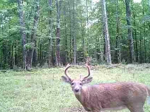 Lot 4 Off Highway 77, Hayward, WI 54843