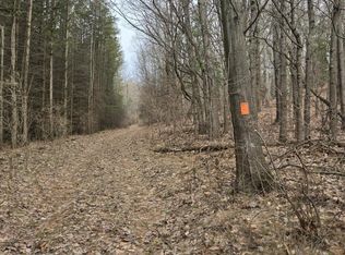 Vl W Deer Rd, Mears, MI 49436