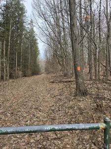 Vl W Deer Rd, Mears, MI, 49436