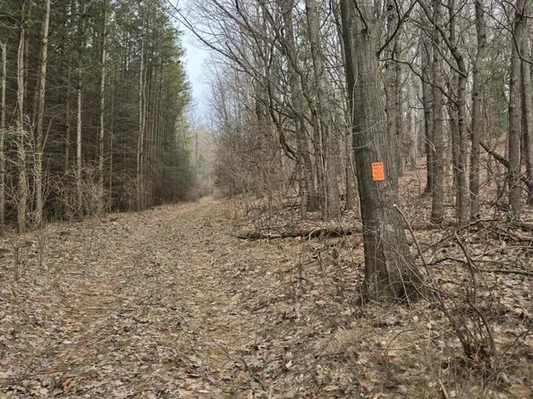 Vl W Deer Rd, Mears, MI 49436