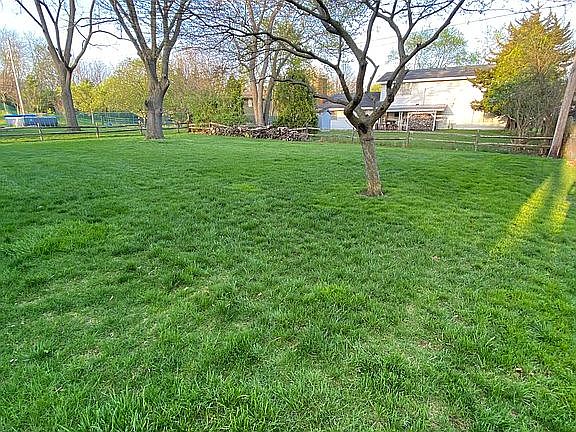 3rd image of 638 Ramblewood Pl