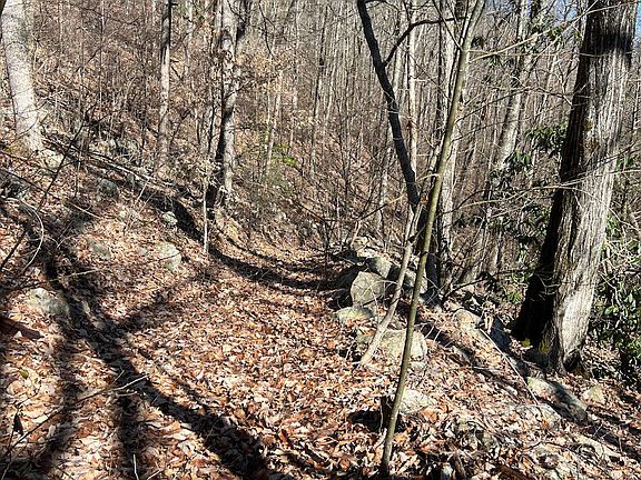 3rd image of Carson Springs Rd