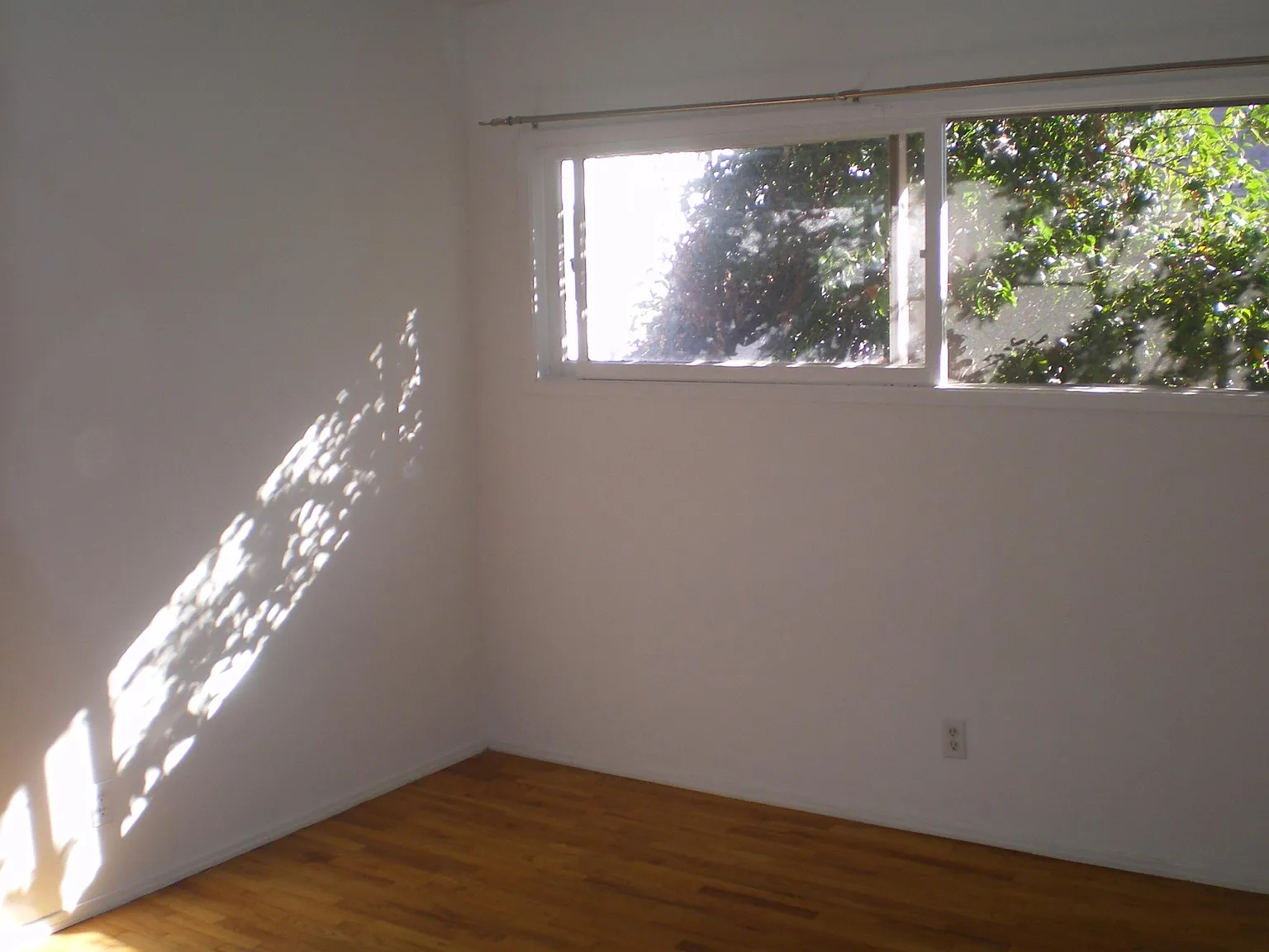 2 bed, 800 sqft, $2,400 — Photo 4