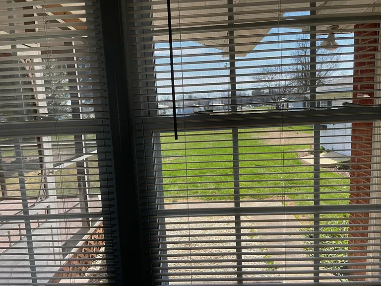 Lots of natural light