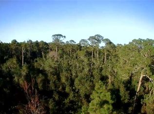 Quail Ranch Rd LOT 8, New Smyrna Beach, FL 32168