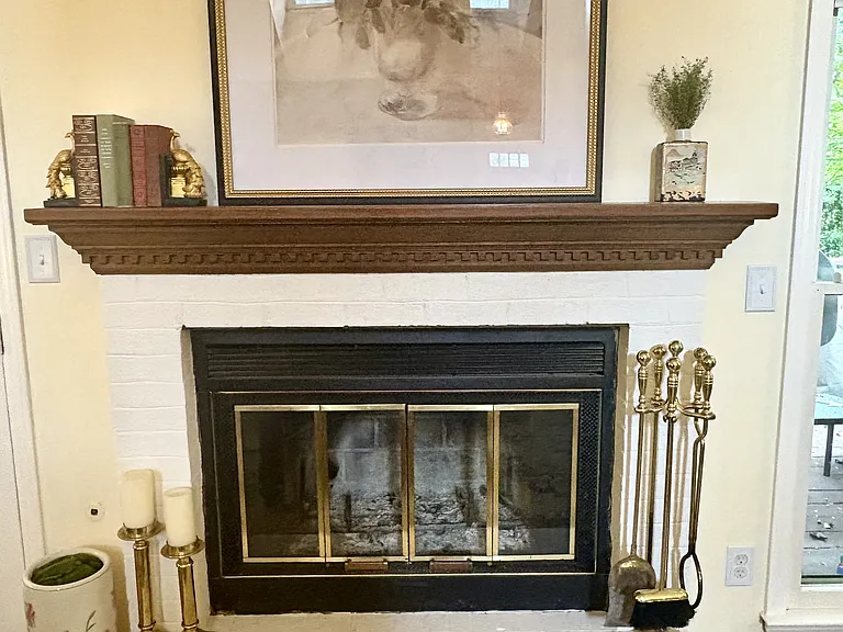 Wood Burning Fireplace with Gas Starter