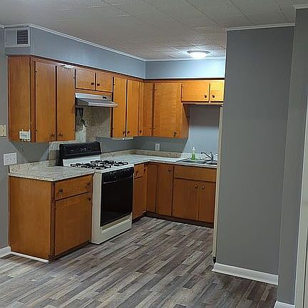 New vinyl/plank flooring 