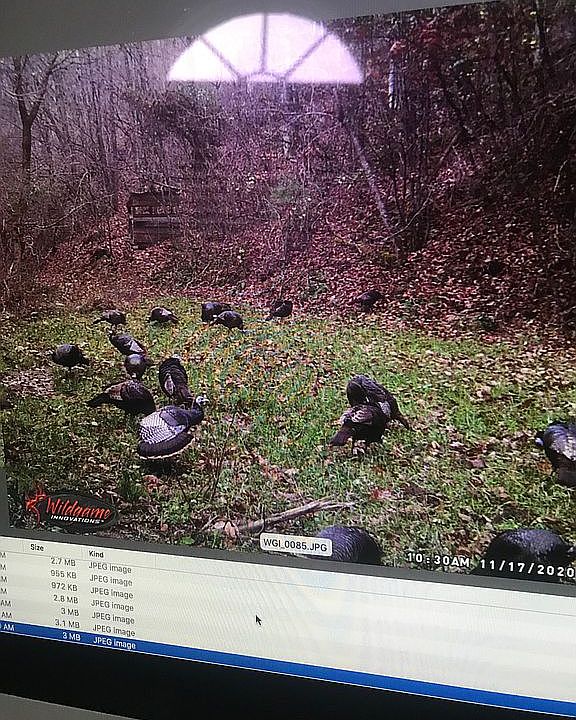 2nd image of Green Spring Rd #75