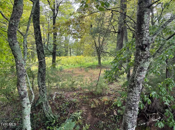 LOT 3 Locust Gap Rd, Mountain City, TN 37683