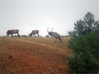 1st image of 27698 Dewey Rd